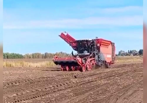 В Омской области начал работать первый самоходный картофелеуборочный комбайн