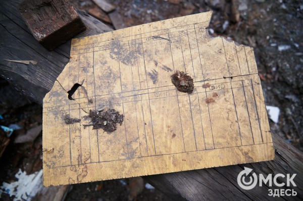 От заброшки к музею. Как омские краеведы возвращают к жизни лечебницу XIX века