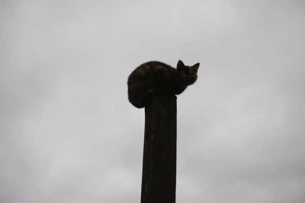 Слепые пятна и guilty pleasure. Архитектурная фотография как способ раскрывать невидимое, а не страдать по ушедшему