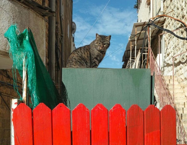 Слепые пятна и guilty pleasure. Архитектурная фотография как способ раскрывать невидимое, а не страдать по ушедшему