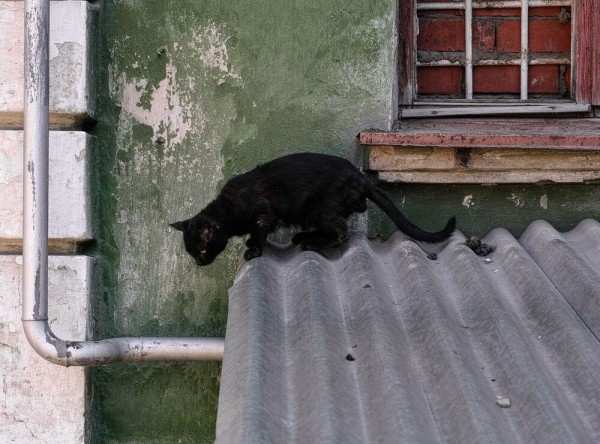 Слепые пятна и guilty pleasure. Архитектурная фотография как способ раскрывать невидимое, а не страдать по ушедшему