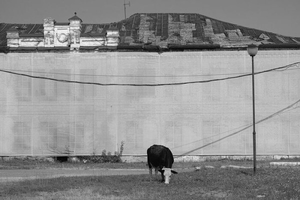 Слепые пятна и guilty pleasure. Архитектурная фотография как способ раскрывать невидимое, а не страдать по ушедшему