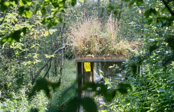 Слепые пятна и guilty pleasure. Архитектурная фотография как способ раскрывать невидимое, а не страдать по ушедшему