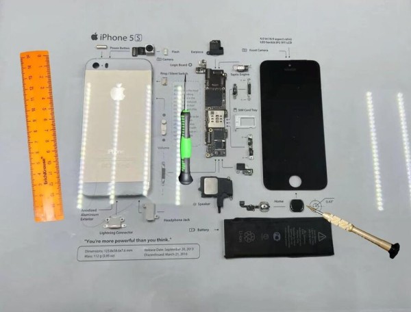 Плоские шедевры: в Омске выбрали лучшие кадры с магией инженерии и творчества