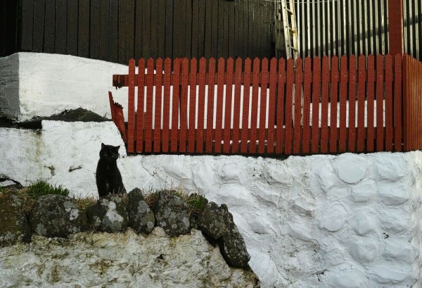Слепые пятна и guilty pleasure. Архитектурная фотография как способ раскрывать невидимое, а не страдать по ушедшему