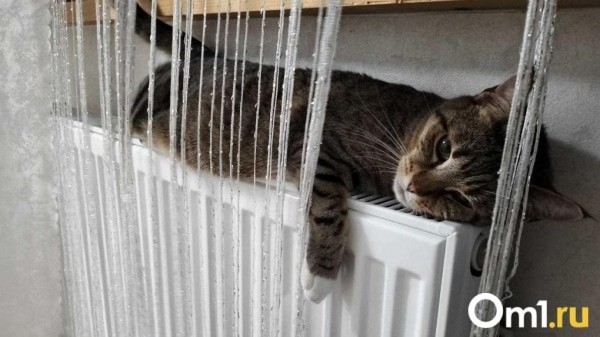 В Омской области начался запуск отопления. Где уже появилось тепло?