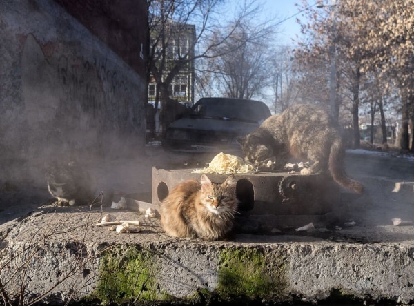 Слепые пятна и guilty pleasure. Архитектурная фотография как способ раскрывать невидимое, а не страдать по ушедшему