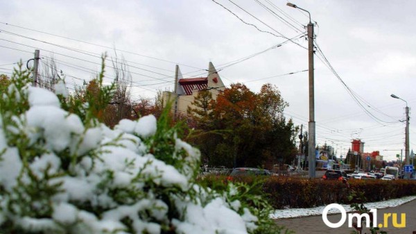 Пора менять колёса: в Омске 29 сентября выпадет первый снег