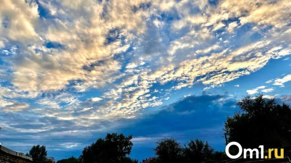 Омичи встревожены: над дачами заметили низко летящий самолёт