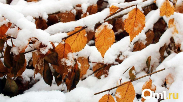 Ждите снег: октябрь в Омске начнётся с непогоды