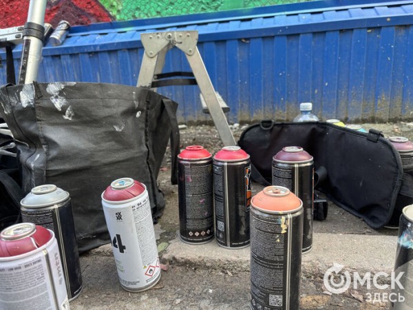 Словно герой фильма Гая Ричи. Омский граффитсит посвятил мурал тренеру 