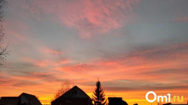 В начале октября на Омскую область обрушится новая напасть В начале октября на Омскую область обрушится новая напасть