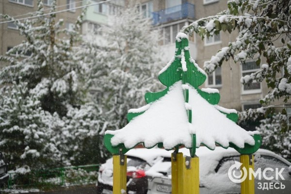 Захрустел под ногами. Омск окутало первым снегом