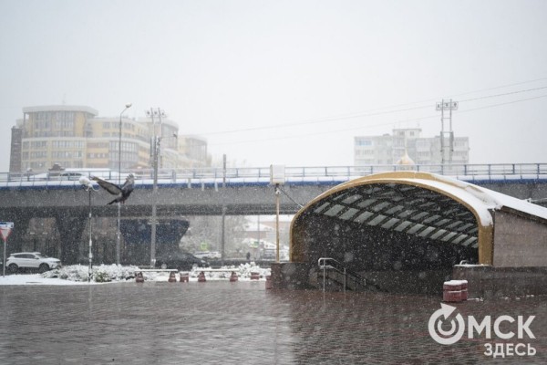 Захрустел под ногами. Омск окутало первым снегом