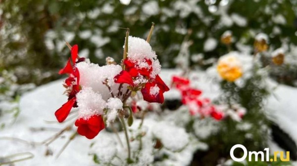 Синоптики опубликовали неутешительный прогноз погоды в Омске на следующую неделю