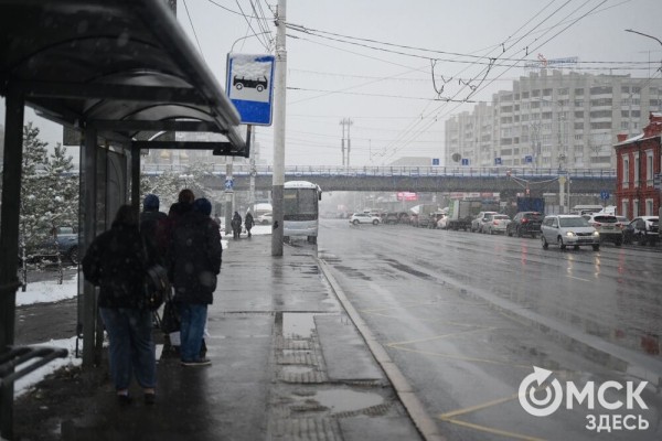 Захрустел под ногами. Омск окутало первым снегом