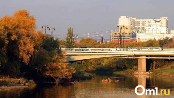 Солнечно и морозно: синоптики рассказали о погоде в Омской области на следующей неделе