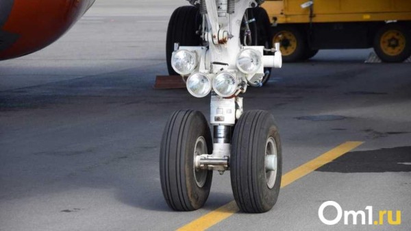 В Омске возобновились рейсы в Улан-Удэ: сколько стоит билет на самолёт?