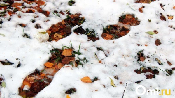 Туманы, мокрый снег и гололёд: в Омской области ожидают мощное похолодание