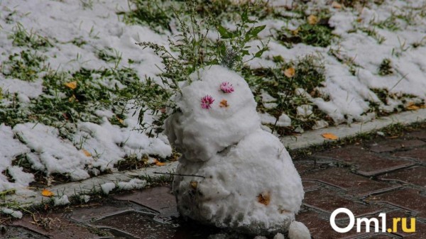 На выходных в Омск нагрянет снежная буря