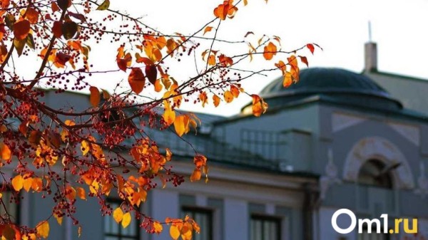 Синоптики назвали дату потепления в Омской области Синоптики назвали дату потепления в Омской области