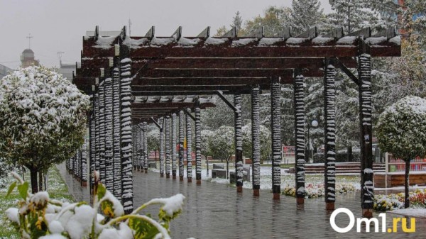 Омичей ждёт -18 градусов: что принесёт резкое похолодание?