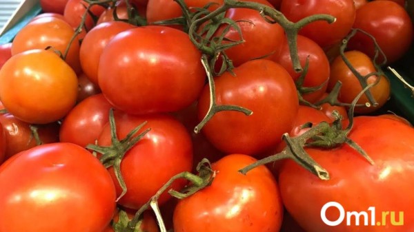 В Омской области уничтожили 17 тонн заражённых узбекских томатов В Омской области уничтожили 17 тонн заражённых узбекских томатов