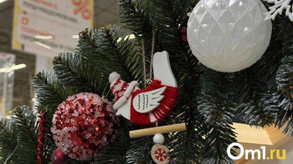 В Омске перед Новым годом пошёл дождь