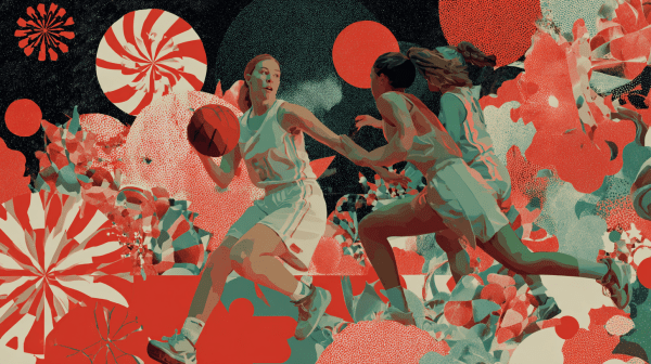 Рекорд конькобежцев и золото пловцов. Топ спортивных событий недели по версии "Омск Здесь"