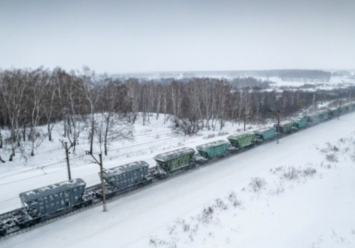 Экспорт Омского агросектора охватывает 48 государств