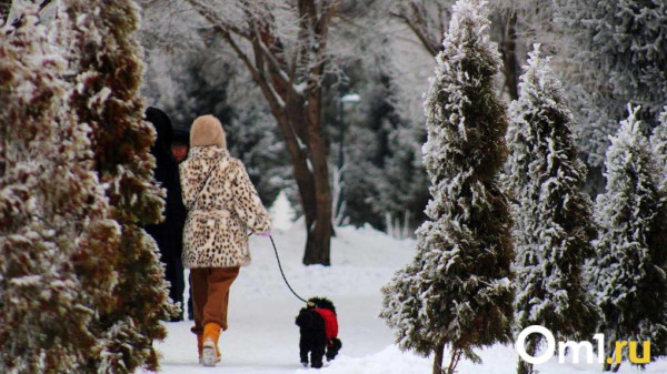 Оттепель и резкий удар мороза: погода приготовила омичам январские температурные &laquo;качели&raquo;