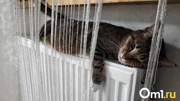 Мэрия потратит полмиллиарда, чтобы омичи на юге не мёрзли