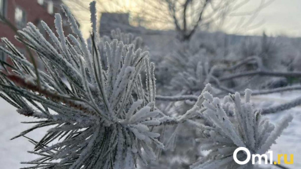 Официально: в Омской области ударят 40-градусные морозы