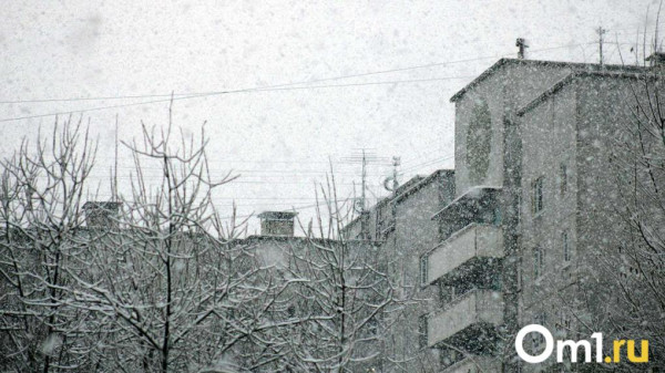 Омичей в конце января ждёт резкий скачок погоды: к чему готовиться?