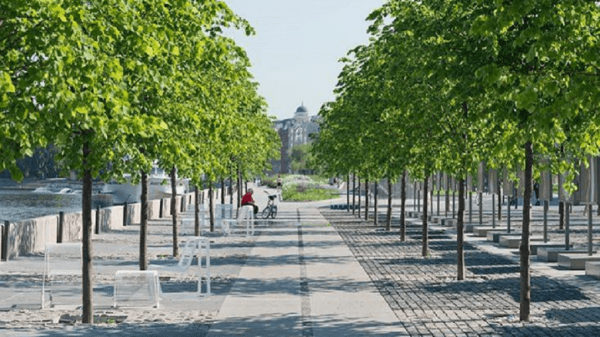 Участок омской набережной у Иртыша благоустроят за 7,5 миллиона рублей Участок омской набережной у Иртыша благоустроят за 7,5 миллиона рублей