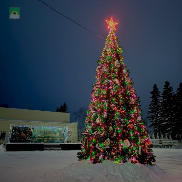 Ёлки из&nbsp;Омска и&nbsp;Седельниково стремятся добыть главную новогоднюю награду России