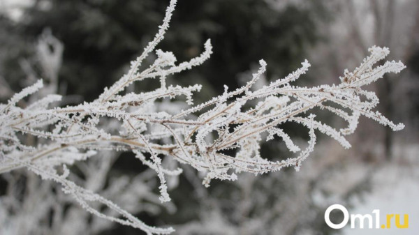 Арктический холод: Омск накроют затяжные морозы до –38 градусов Арктический холод: Омск накроют затяжные морозы до –38 градусов