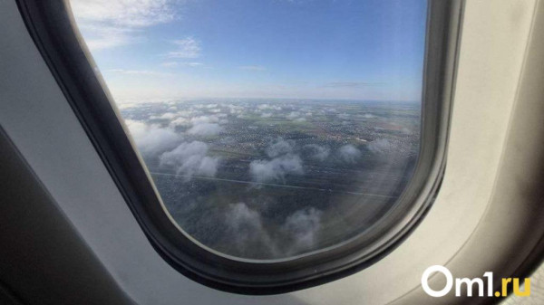 Пилот, который посадил самолёт в поле под Новосибирском, всё-таки не работает курьером