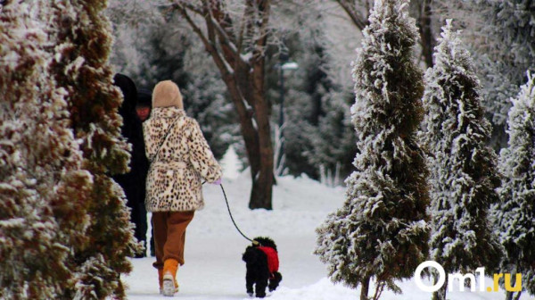 В Омской области будет холоднее, чем в Оймяконе: мощное похолодание уже началось