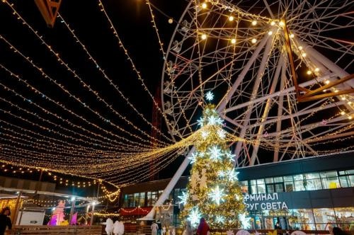 Ёлки из&nbsp;Омска и&nbsp;Седельниково стремятся добыть главную новогоднюю награду России