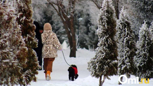 Новая волна: в начале февраля в Омскую область снова придут мощные морозы