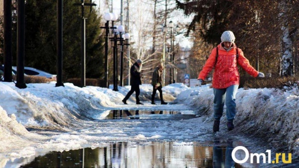 Весна будет ранней: Гидрометцентр дал утешающий прогноз для Омска на февраль и март
