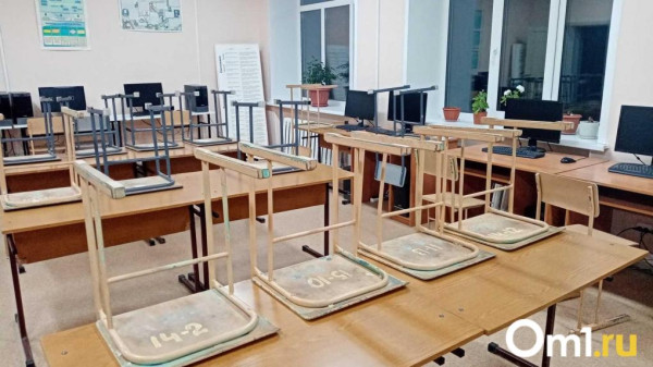 Омских школьников отправили на дистанционку из-за проблем с отоплением Омских школьников отправили на дистанционку из-за проблем с отоплением