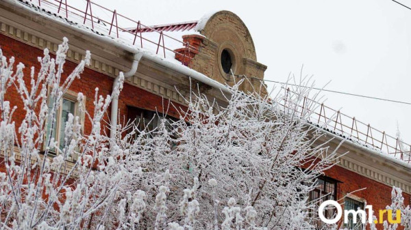 Сибирский антициклон принесёт в Омск морозы до &minus;39