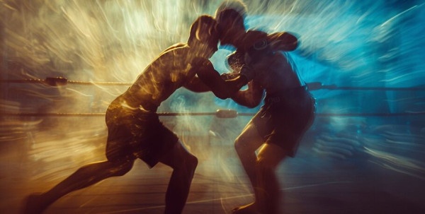 Андрей Корешков победил техническим нокаутом в главном бою SFC 12 Андрей Корешков победил техническим нокаутом в главном бою SFC 12