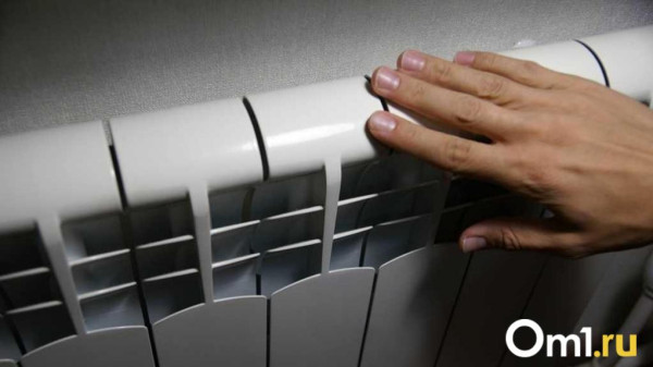 Перекрыли дорогу: омичи устроили забастовку из-за холода в квартирах Перекрыли дорогу: омичи устроили забастовку из-за холода в квартирах