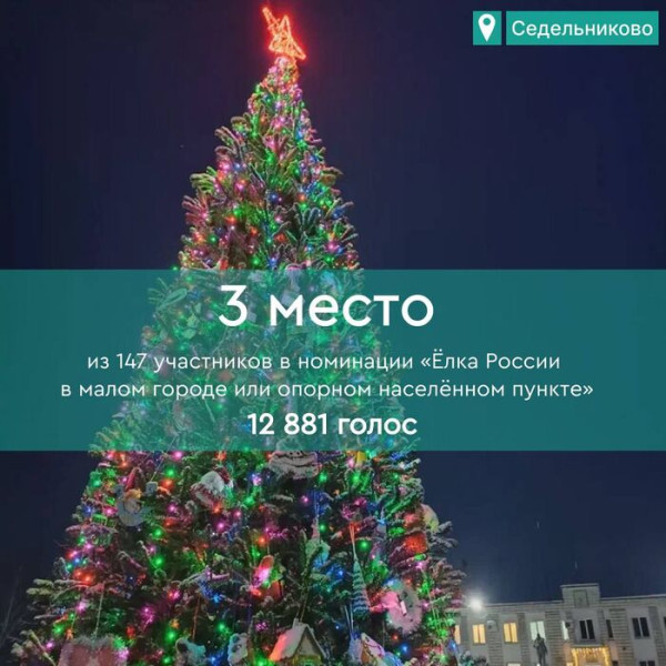 Ёлка из Омской области стала призёром всероссийского конкурса