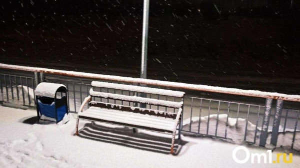 К Омской области приближается самый мощный снежный циклон в России