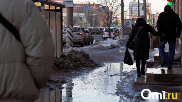 Мороз и мокрый снег: омичей в конце недели ожидают мощные температурные качели