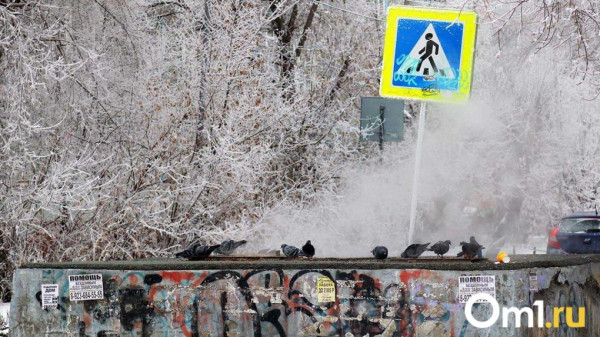 На Омскую область идёт волна арктического холода